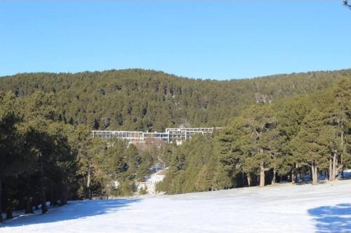a snow covered field with trees and a mountain at Les terrasses du golf in Égat