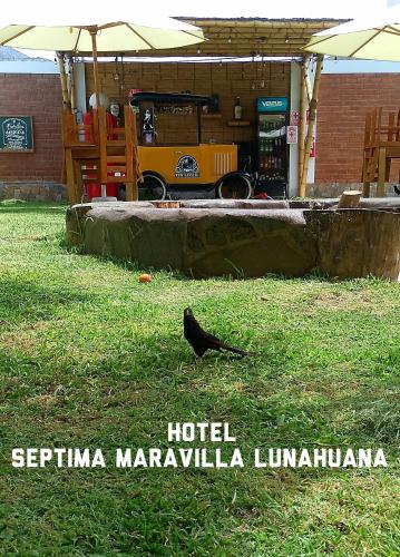 a black bird standing in the grass in front of a building at Hotel Septima Maravilla Lunahuana in Lunahuaná
