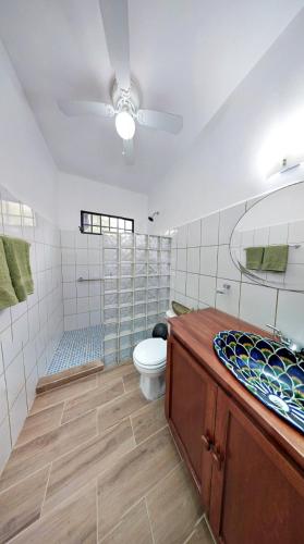 a bathroom with a toilet and a shower and a ceiling fan at La Casita del Museo in Valladolid
