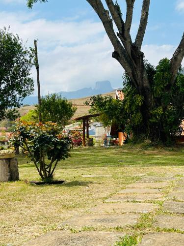 a stone path leading to a house with a tree at Pousada Chalés da Estalagem in São Bento do Sapucaí