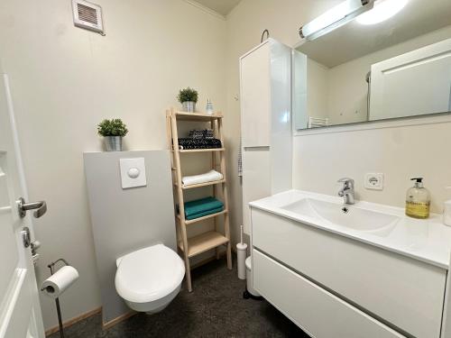 a bathroom with a sink and a toilet and a mirror at Holiday Home in town Eyrarbakki South of Iceland - Birta Rentals in Eyrarbakki