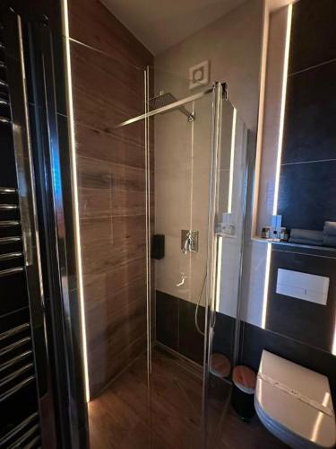 a bathroom with a glass shower with a toilet at TGHA Luxury Apartments in Athlone in Athlone
