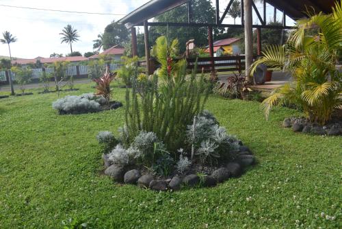 a garden with plants in front of a building at Hotel Puku Vai in Hanga Roa