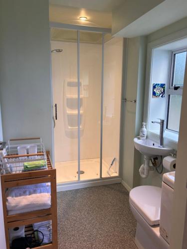 a bathroom with a shower and a sink at Sea Views Studio in Dunedin
