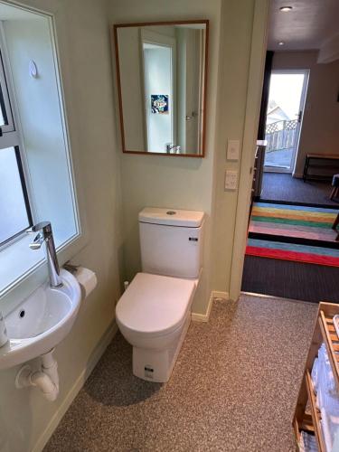 a bathroom with a toilet and a sink and a mirror at Sea Views Studio in Dunedin