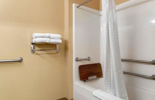 Ένα μπάνιο στο Extended Stay America Suites - Toledo - Holland