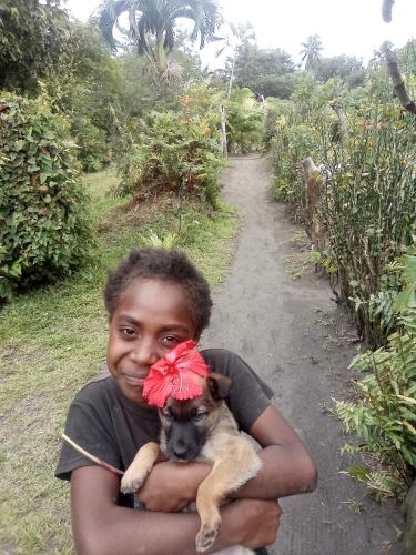 a boy holding a dog with a bow on its head at Volcano island paradise in Lénakel
