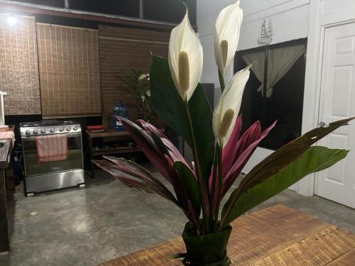 a vase with flowers on a table in a kitchen at Villas Itaita Beach Cabins in Punta Uva