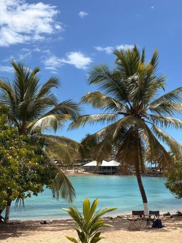 a beach with two palm trees and a bench at Bas-du-Fort beach side in Le Gosier