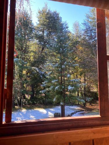 a window view of a tree in the snow at Tiny house para dos in Las Trancas