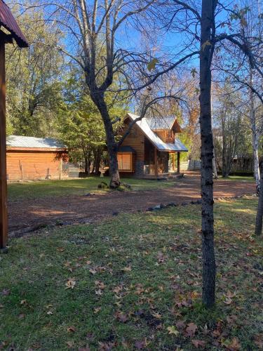 a house with a tree in front of it at Tiny house para dos in Las Trancas
