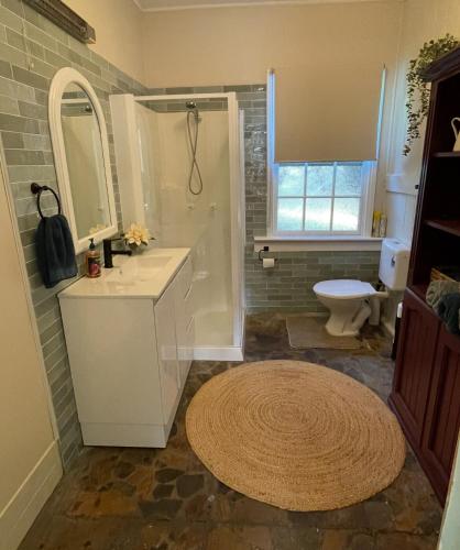 a bathroom with a sink and a shower and a toilet at Lavender Cottage in Sofala