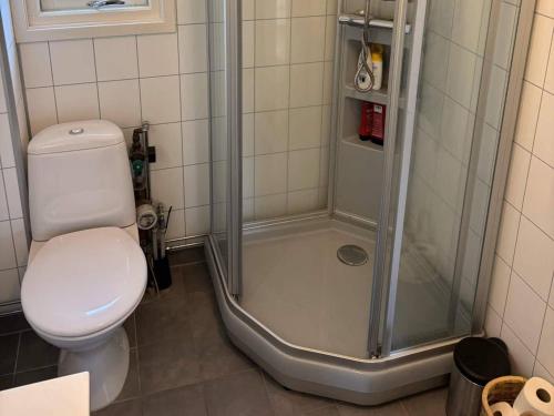 a bathroom with a toilet and a shower at 4 star holiday home in SKJEBERG in Sponviken