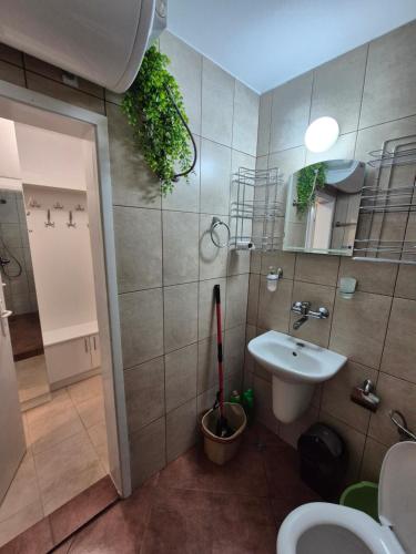 a bathroom with a sink and a toilet and a mirror at Апартамент за гости Роси in Sinemorets