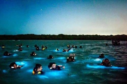 a group of people swimming in a large body of water at Renacer ancestral Barú in Playa Blanca
