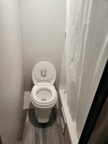 a small bathroom with a toilet and a shower at Monday creek camper in New Straitsville