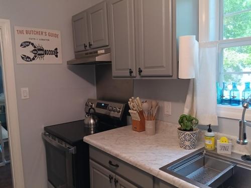 a kitchen with a sink and a counter top at Pensacola hidden gem cottage 3 minutes from Navy Base, pet friendly in Pensacola