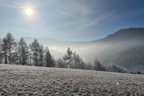 a snow covered field with trees on a hill at Steinweiden in Simonswald