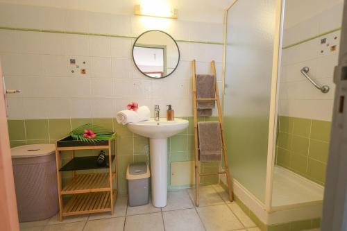 Koupelna v ubytování Habitation Alamanda by KVZ 3ch 2sde & vue montagnes