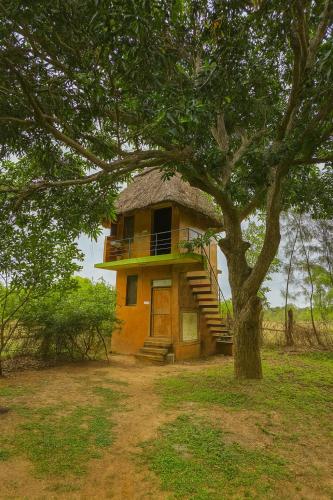 Zahrada ubytování Chapters Auroville Farmstay