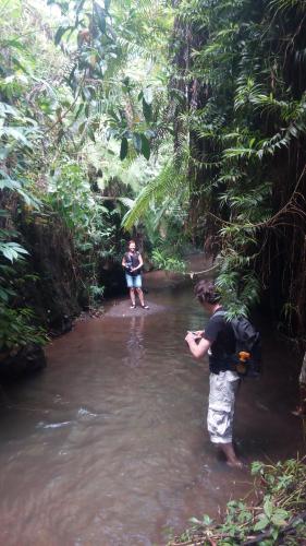two people walking through a stream in the jungle at Tetebatu Indah Homestay in Tetebatu