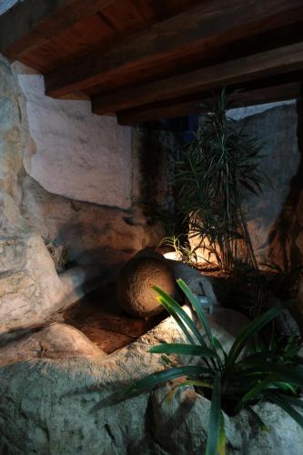 Fotografie z fotogalerie ubytování Casa de la Loma v destinaci Morelia