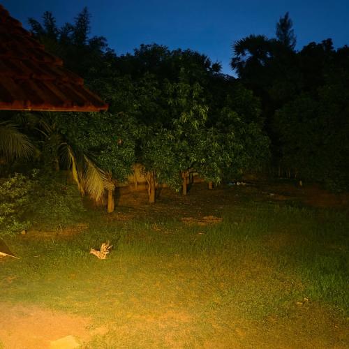 Zahrada ubytování Chapters Auroville Farmstay