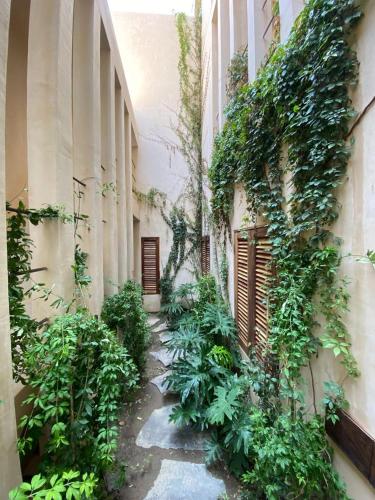 un callejón con plantas al lado de un edificio en Condominios Punta Morelos, en Brisas de Zicatela