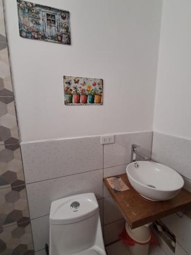 a bathroom with a white toilet and a sink at BellaVista 2 habitaciones con balcón in Oxapampa