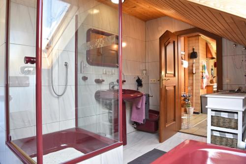 ein Bad mit einem roten Waschbecken und einer Dusche in der Unterkunft Haus Schluchseeblick in Schluchsee
