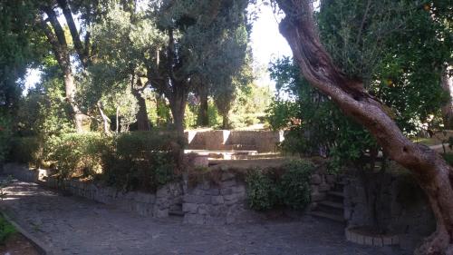 a garden with trees and a stone wall at La Dolce Casetta in Grottaferrata