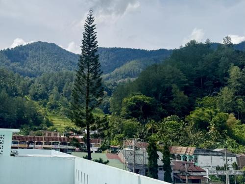 Cảnh núi rừng hoặc tầm nhìn ra núi từ nhà trọ