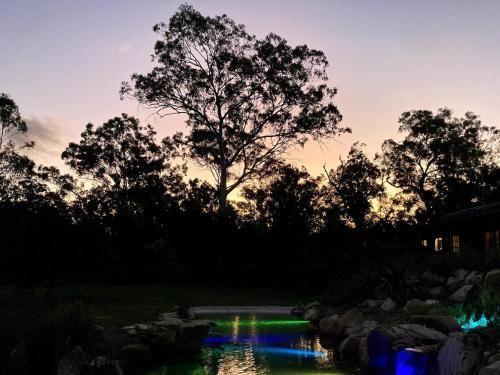 a pond in a yard with a tree in the background at Casa Naranja - Off-grid Hideaway Agnes Water 1770 in Agnes Water