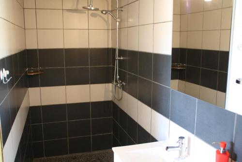 a bathroom with a shower with a sink and a mirror at La Perle du Lot in Castelnau-de-Montratier