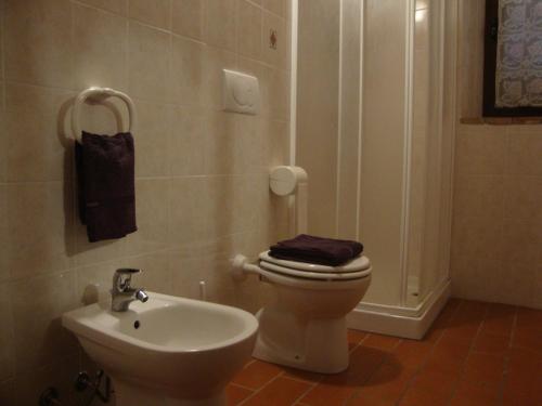 Kúpeľňa v ubytovaní Agriturismo Podere Selvette