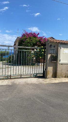 Φυσικό τοπίο κοντά σε αυτό το διαμέρισμα