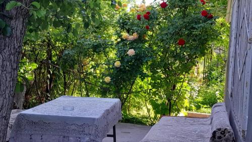 Jardí fora de holiday house