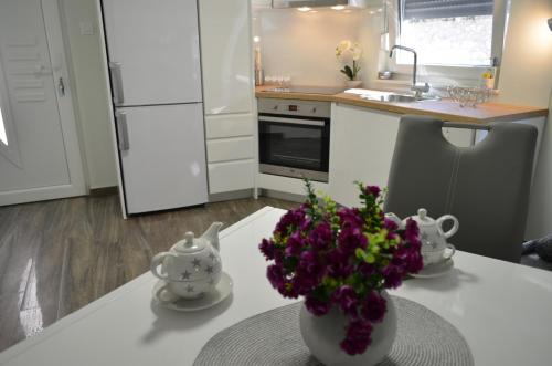 Kuchyňa alebo kuchynka v ubytovaní Apartment Ana Arbanasi