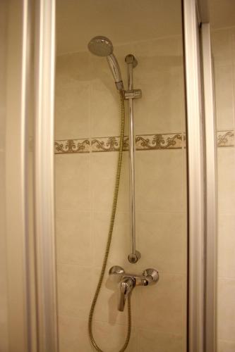 a shower with a shower head in a bathroom at Ferienwohnung Südblick in Groß Zicker in ruhiger Lage mit Terrasse und Meerblick in Groß Zicker