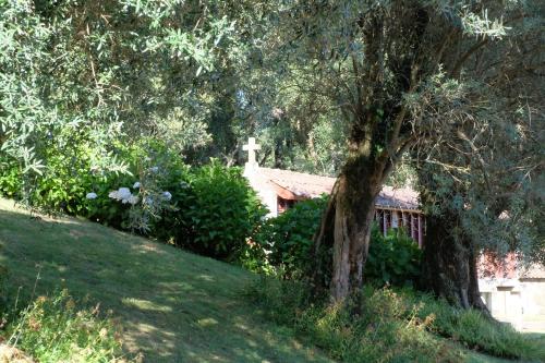 Zahrada ubytování Casa De Anquiao - Turismo de Habitação