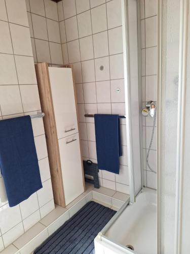 a bathroom with a shower and a tub and a toilet at Haus an der Steinbachtalsperre in Euskirchen