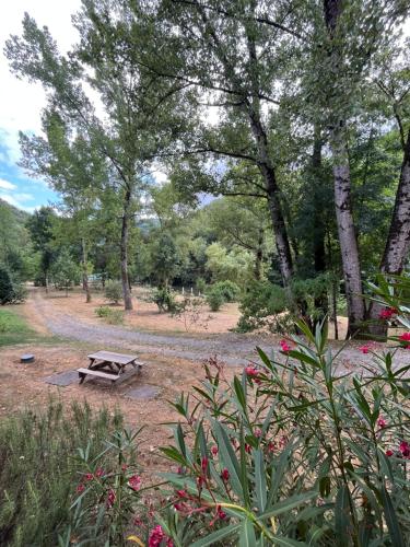 a picnic table in a park with trees and flowers at Studio au bord de la Rivière in Florentin-la-Capelle