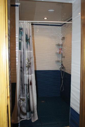 a shower with a shower curtain in a bathroom at Vityaz Guest Cabins in Kaliningrad