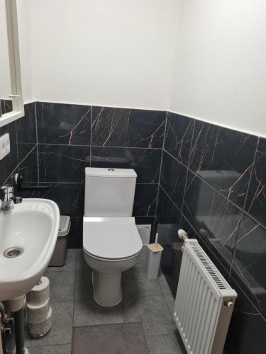a bathroom with a toilet and a sink at Pie Parka in Alūksne