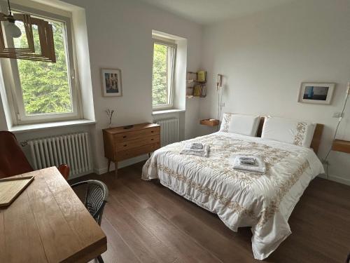a bedroom with a bed and a table and two windows at Il Casale in Colcavagno