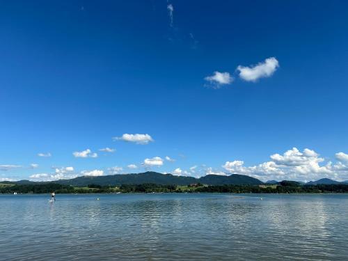 Tiny Haus am Wallersee