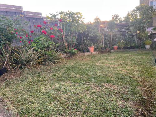 a yard with flowers and plants in a house at Eden Garden t3 appartement spacieux avec jardin Eco-ferme in Sainte-Suzanne