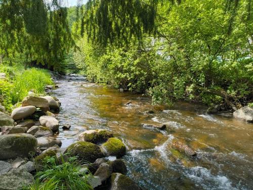a stream of water with rocks and trees at Lodge de la WEISS in Lapoutroie