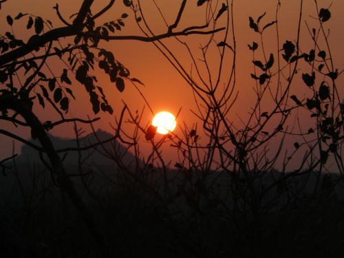 un tramonto in un campo con un albero di Tjhora Sunset Cottage a Cambridge