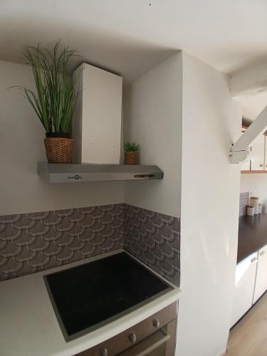 a kitchen with a counter top with plants on it at La halte verte in Nassogne